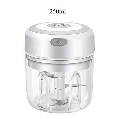 USB Mini Garlic & Vegetable Chopper